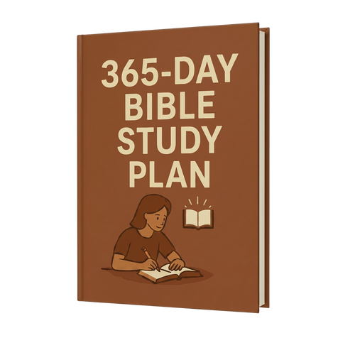 Study Plan