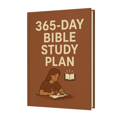 Study Plan